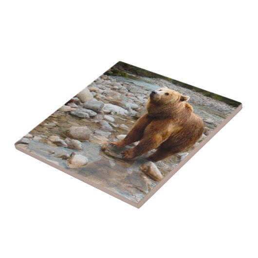 ブラウンベア タイル (側面)