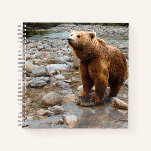 ブラウンベア ノートブック (正面)