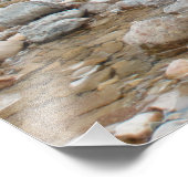 ブラウンベア フォトプリント            (角)