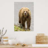 ブラウンベア ポスター (キッチン)