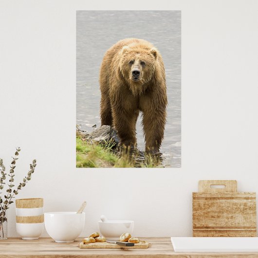 ブラウンベア ポスター (キッチン)