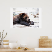 ブラウンベア ポスター (キッチン)