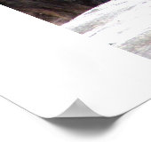 ブラウンベア ポスター (角)