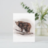 ブラウンベア ポストカード (スタンド正面)