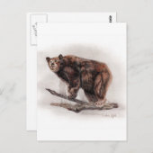 ブラウンベア ポストカード (正面/裏面)