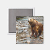 ブラウンベア マグネット (正面/裏面)