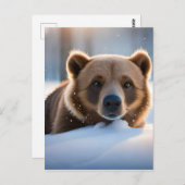 ブラウンベア&自然ウォールアート ポストカード (正面/裏面)