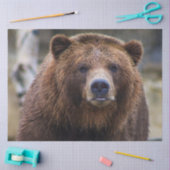 ブラウンベア 薄葉紙 (クラフト)