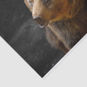 ブラウンベア 薄葉紙 (詳細)