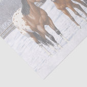 ブラウンベイアパロオーサの馬の雪 薄葉紙 (詳細)