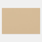 ブラウンベビーライオンエレファントリノラッピング紙彼女 ラッピングペーパーシート (正面3)