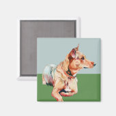 ブラウンベルタ磁石 マグネット (正面/裏面)