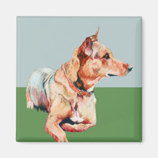 ブラウンベルタ磁石 マグネット (正面)