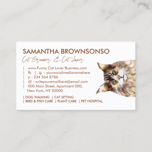 ブラウンペットシッおもしろいツメーンクーンキャット 名刺 (裏面)