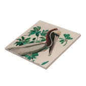 ブラウンペリカンバーズオブアメリカオードボンプリント タイル (側面)