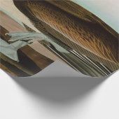 ブラウンペリカンバーズオブアメリカオードボンプリント ラッピングペーパー (角)