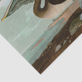 ブラウンペリカンバーズオブアメリカオードボンプリント 薄葉紙 (詳細)