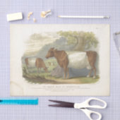 ブラウンホワイトカウエフエメラデクページヴィンテージファーム 薄葉紙 (クラフト)