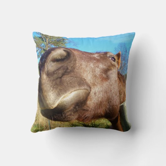 ブラウンホースおもしろい顔ティール(緑がかった色)ブルースカイ クッション (裏面)