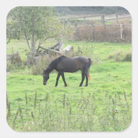 ブラウンホースかわいらしアウトアットパスチュアファームステッカー スクエアシール (正面)