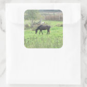 ブラウンホースかわいらしアウトアットパスチュアファームステッカー スクエアシール (バッグ)