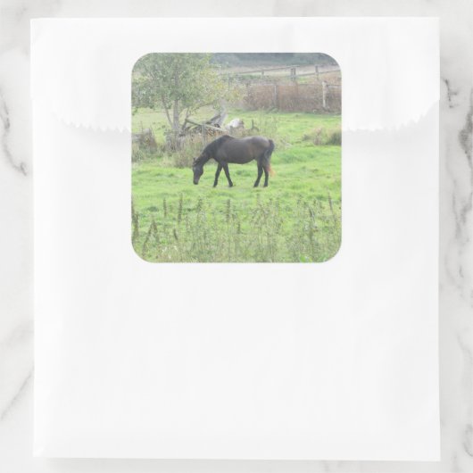 ブラウンホースかわいらしアウトアットパスチュアファームステッカー スクエアシール (バッグ)