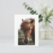 ブラウンホースのクローズアップ写真 ポストカード (スタンド正面)