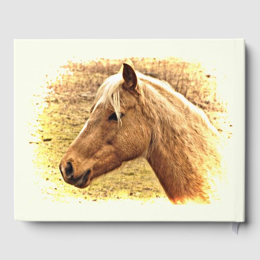 ブラウンホースイエローサンバースデーパーティーゲストブック ゲストブック (裏面)