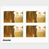 ブラウンホースクローズアップ 長方形シール (シート)