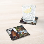 ブラウンホースフォトコラージュ、頑丈な紙コースター スクエアペーパーコースター (インサイチュ)