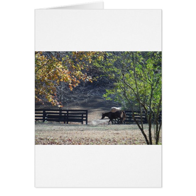 ブラウンホース歩くスルーフェンス (正面)