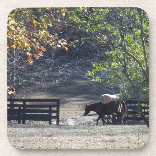 ブラウンホース歩くスルーフェンス コースター (正面)
