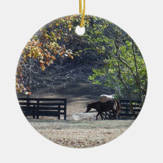 ブラウンホース歩くスルーフェンス セラミックオーナメント (正面)