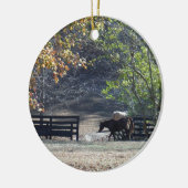 ブラウンホース歩くスルーフェンス セラミックオーナメント (左)