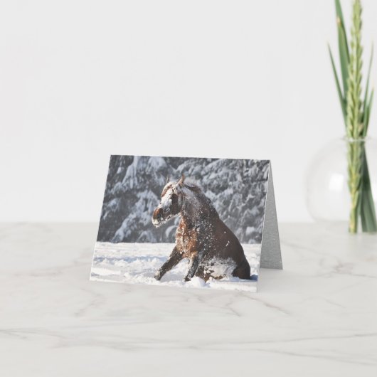ブラウンホース転がズインスノーホリデーカード シーズンカード (正面)