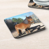 ブラウンポニーターコイズスカイ コースター (左側)