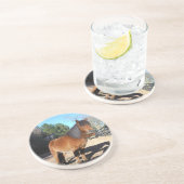 ブラウンポニーターコイズスカイ コースター (側面)