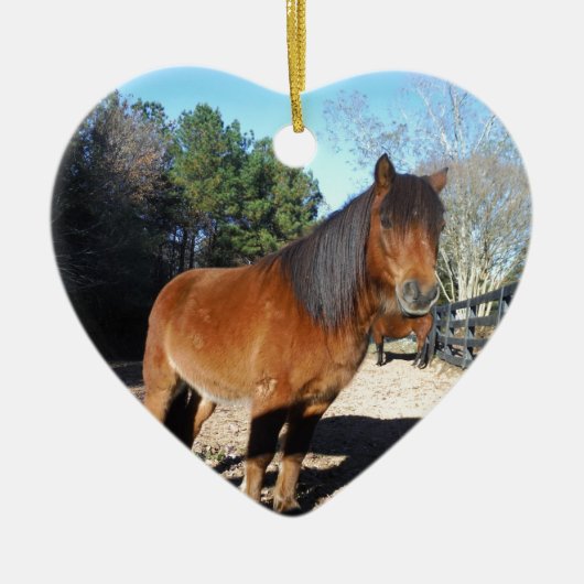 ブラウンポニーターコイズスカイ セラミックオーナメント (正面)