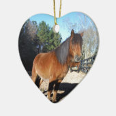 ブラウンポニーターコイズスカイ セラミックオーナメント (左)