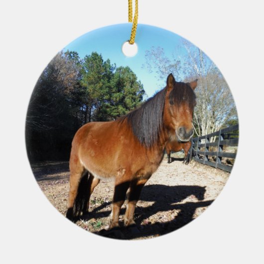 ブラウンポニーターコイズスカイ セラミックオーナメント (正面)