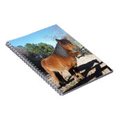 ブラウンポニーターコイズスカイ ノートブック (右側)