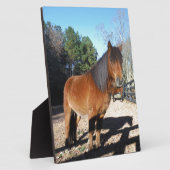 ブラウンポニーターコイズスカイ フォトプラーク (側面)