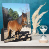 ブラウンポニーターコイズスカイ フォトプラーク (側面)