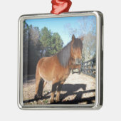 ブラウンポニーターコイズスカイ メタルオーナメント (左)