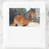 ブラウンポニーターコイズスカイ 長方形シール (バッグ)