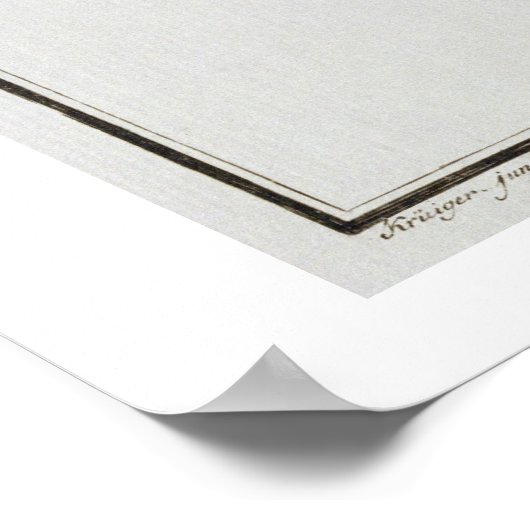 ブラウンマス(サルモイアスストリス)プレートXXIII 'Icから ポスター (角)