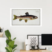 ブラウンマス(サルモイアスストリス)プレートXXIII 'Icから ポスター (ホームオフィス)