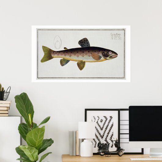 ブラウンマス(サルモイアスストリス)プレートXXIII 'Icから ポスター (ホームオフィス)