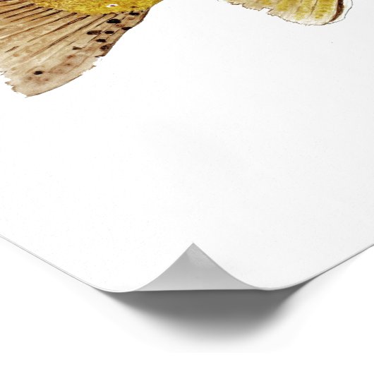 ブラウンマス ポスター (角)