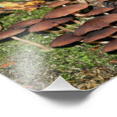 ブラウンマッシュルームモス10x8自然 フォトプリント            (角)